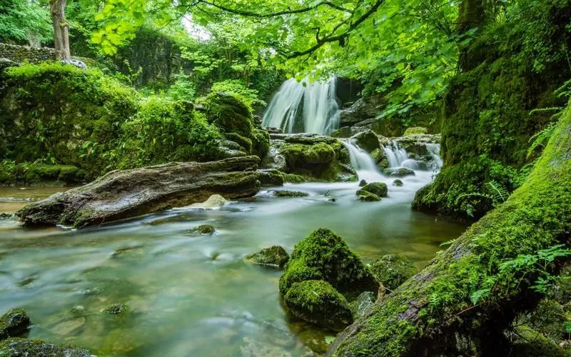 高效环保